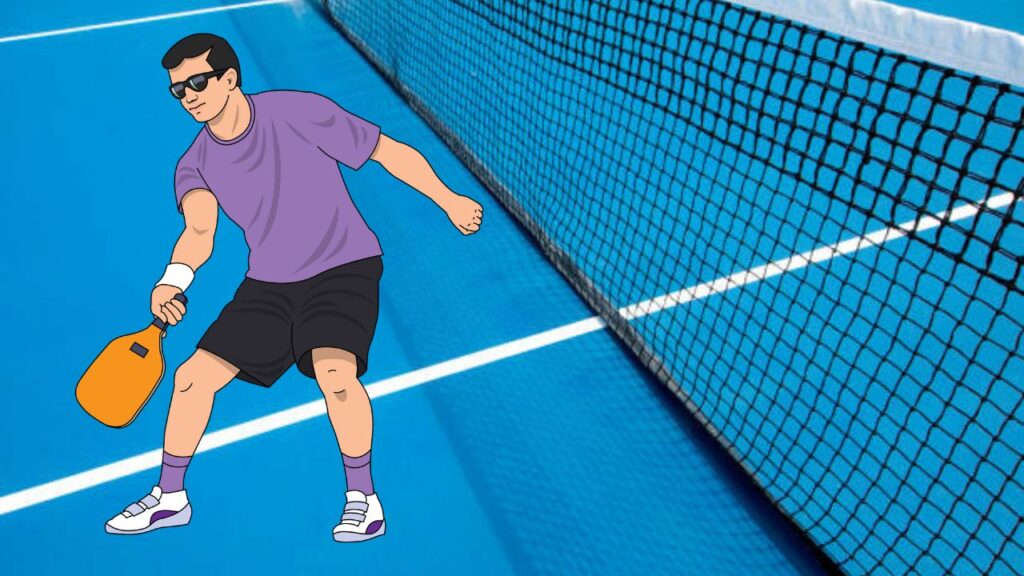 Pickleball Nets for Indoor