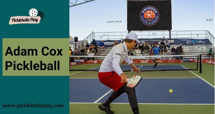 Adam Cox Net Worth