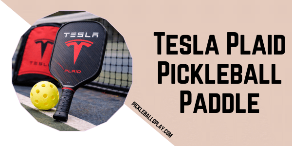 Tesla Plaid Pickleball Paddle Guide